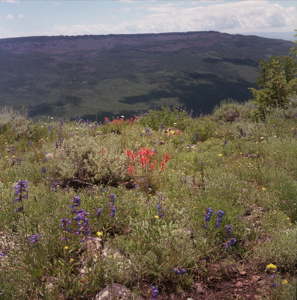 Colorado Western Slope 35.jpg